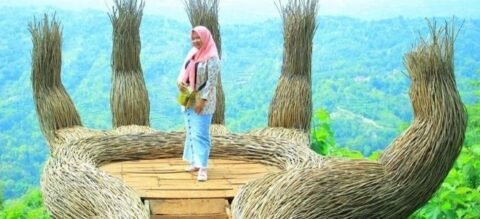 Wisata Alam Pinus Pengger Yogyakarta