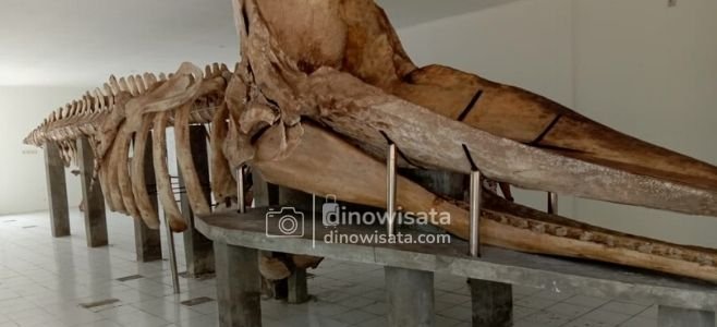 Museum Kerangka Paus Pulau Tidung Kecil Kepulauan Seribu