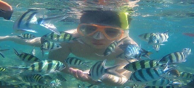 Snorkeling Di Pulau Harapan Kepulauan Seribu
