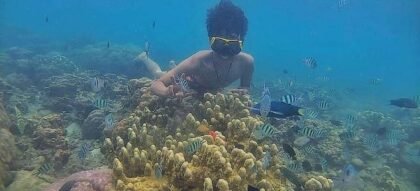 Spot Snorkeling Kece di Wisata Pulau Pari