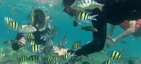 Spot Snorkeling Wisata Pulau Tidung DWT05042023