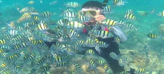 Snorkeling Di Pulau Tidung Kepulauan Seribu
