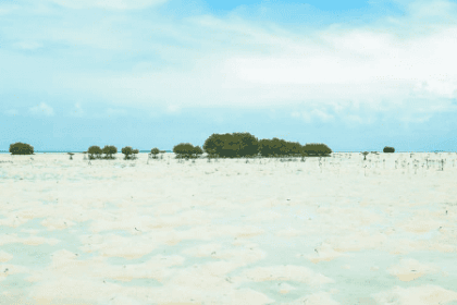 Area Pantai Bintang Wisata Pulau Pari