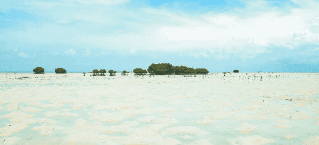 Area Pantai Bintang Wisata Pulau Pari