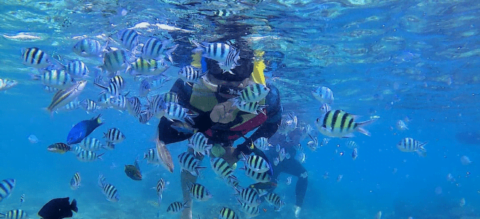 Spot Snorkeling Wisata Pulau Tidung