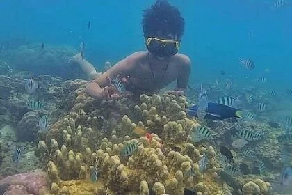 Spot Snorkeling Kece di Wisata Pulau Pari