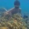 Spot Snorkeling Kece di Wisata Pulau Pari